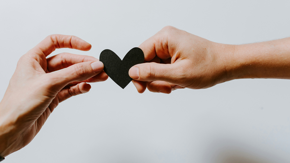 It’s Not Just One Thing: Why the Happiest Couples Cultivate a Unique Blend of Passion, Friendship, and Shared Purpose for Lasting Joy